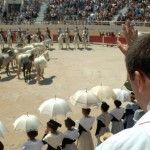 Bendición de los caballos