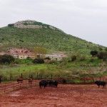 Pero los caminos son preciosos. Aquí, atravesando el territorio de una ganadería.