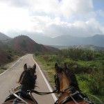 Región montañosa de la provincia de Jaén con pasos espectaculares a más de 1200 m de altitud.