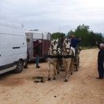 Despedida del anfitrión.