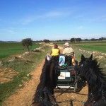 Entre Cofrentes y Alcalá del Juncar, toca una etapa muy larga de 49 km.