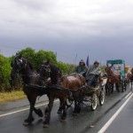 Imposible de transitar por los caminos. Todo se hace por carretera.