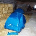 ¡Y las cuadras no sólo son para los caballos!