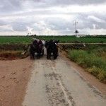 Cruzando este puente, pasan la barra de los 1.000 kilómetros recorridos.